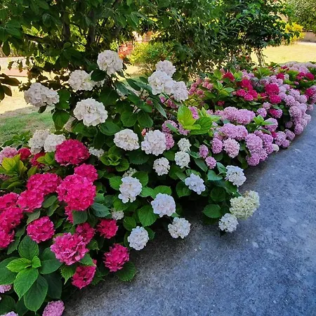 公寓 曼努埃尔公寓