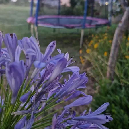 曼努埃尔公寓 Banjol