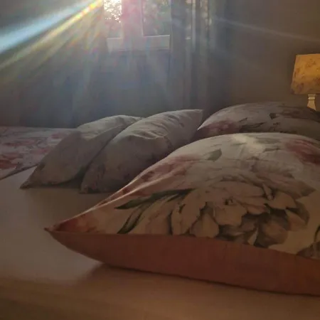 公寓 曼努埃尔公寓 *